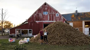 « Venez avec amour, repartez avec des patates » : le bon plan insolite d’un couple d’agriculteurs pour arrondir ses fins de mois