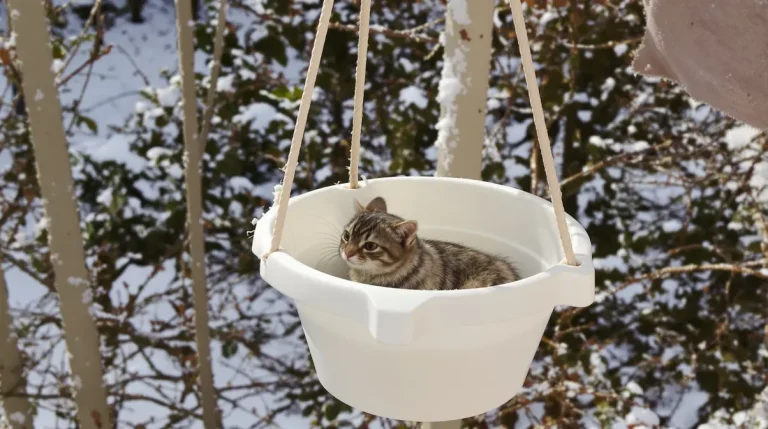 Arrêtez de jeter ce petit pot en plastique : il devient la mangeoire préférée des oiseaux cet hiver Arrêtez de jeter ce petit pot en plastique : il devient la mangeoire préférée des oiseaux cet hiver