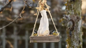 Attention, vos oiseaux sont en danger : pourquoi glisser un savon dans une chaussette peut les sauver