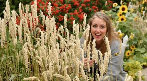 Au jardin, cette plante facile d’entretien attire les oiseaux chez vous bien plus vite qu’on ne le pense