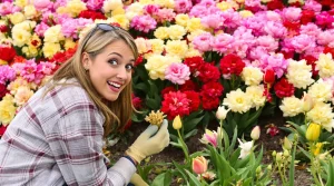 « Je ne plante plus de tulipes » : la fleur qui a conquis tout mon jardin ce printemps