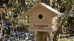 Mésanges : le nichoir idéal pour les attirer et les voir enfin s’installer au jardin